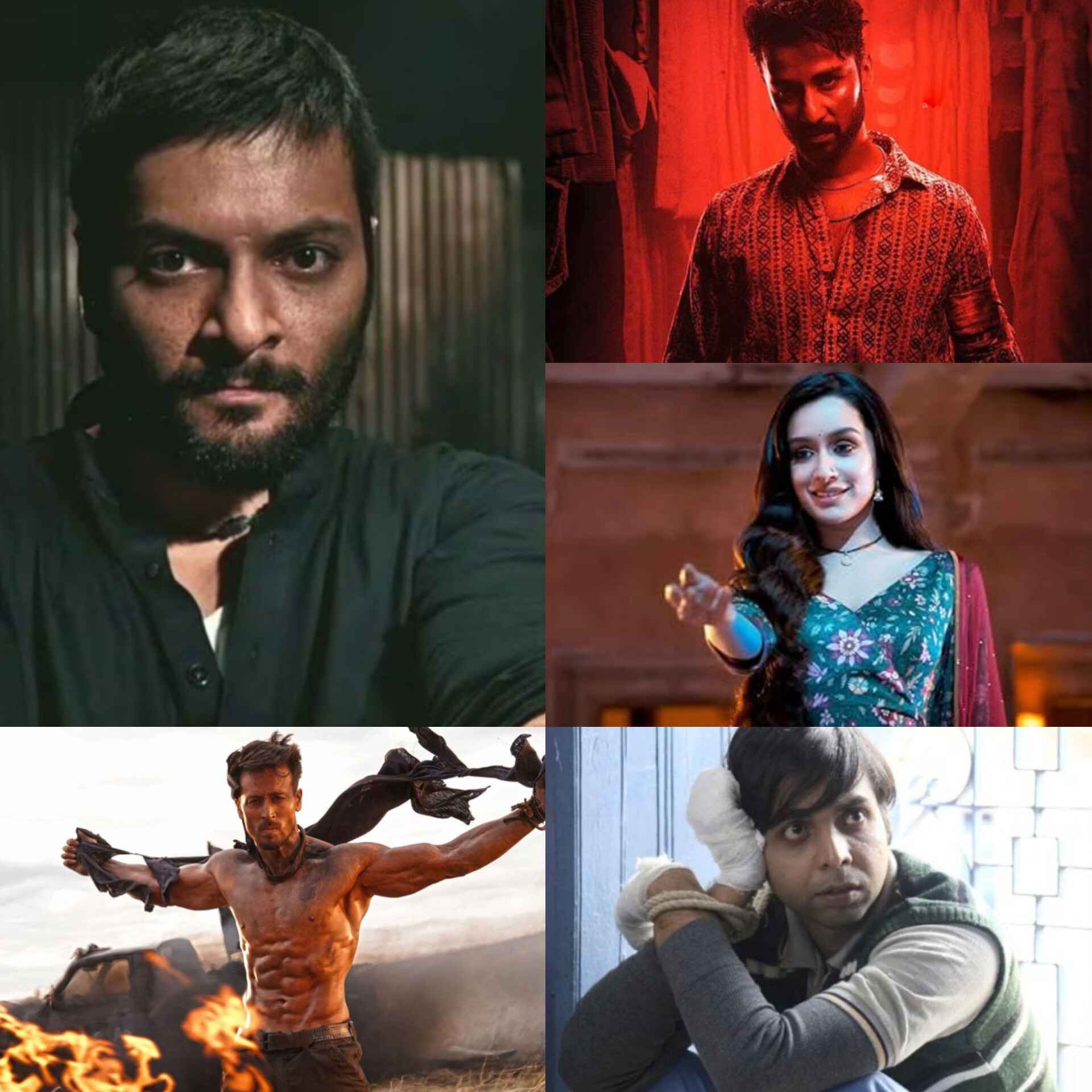 Tiger Shroff, Abhishek Banerjee to Raghav Juyal: Bollywood Actors Who are the Lucky Charms of Producers