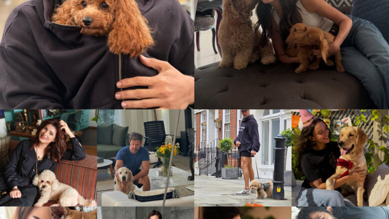 International Dog Day: Celebrities Who Are Proud Parents to Their Adorable Fur Babies